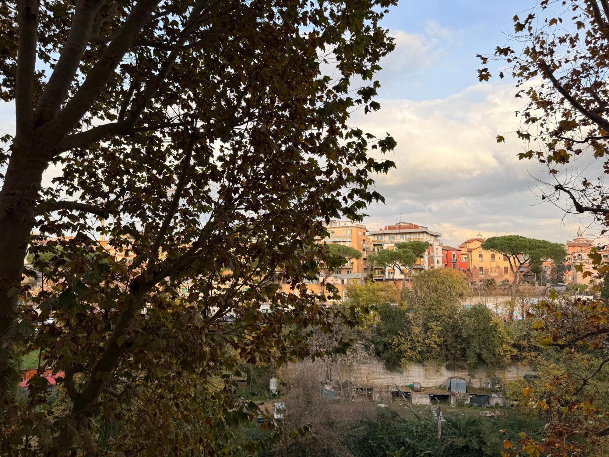 Apartment Elegant Studio, 20 Mins From Termini Station *